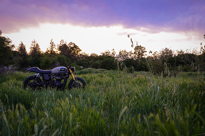 Custom Triumph Bonneville, sunset, moto photo