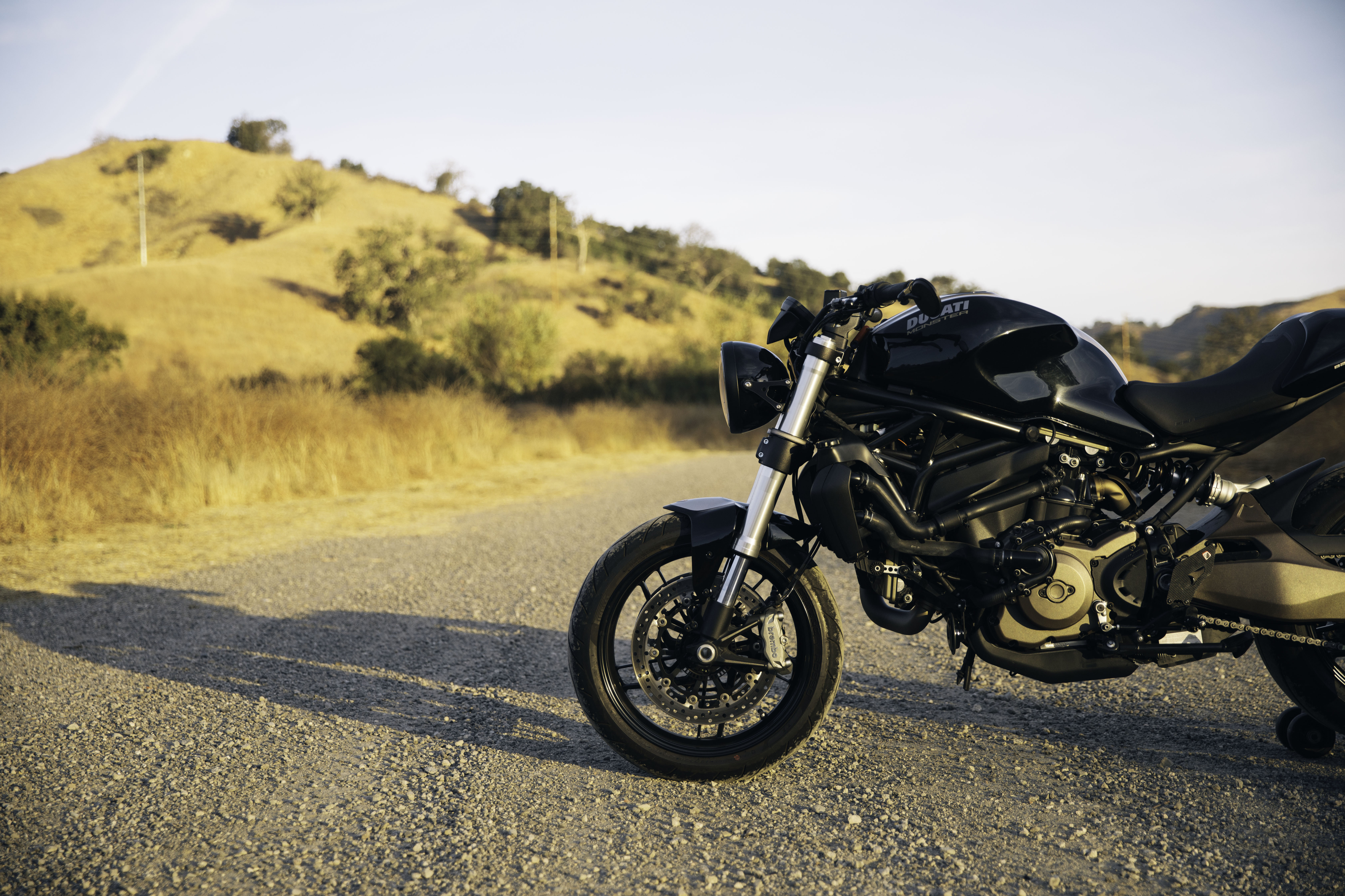 ducati monster 821 cafe racer