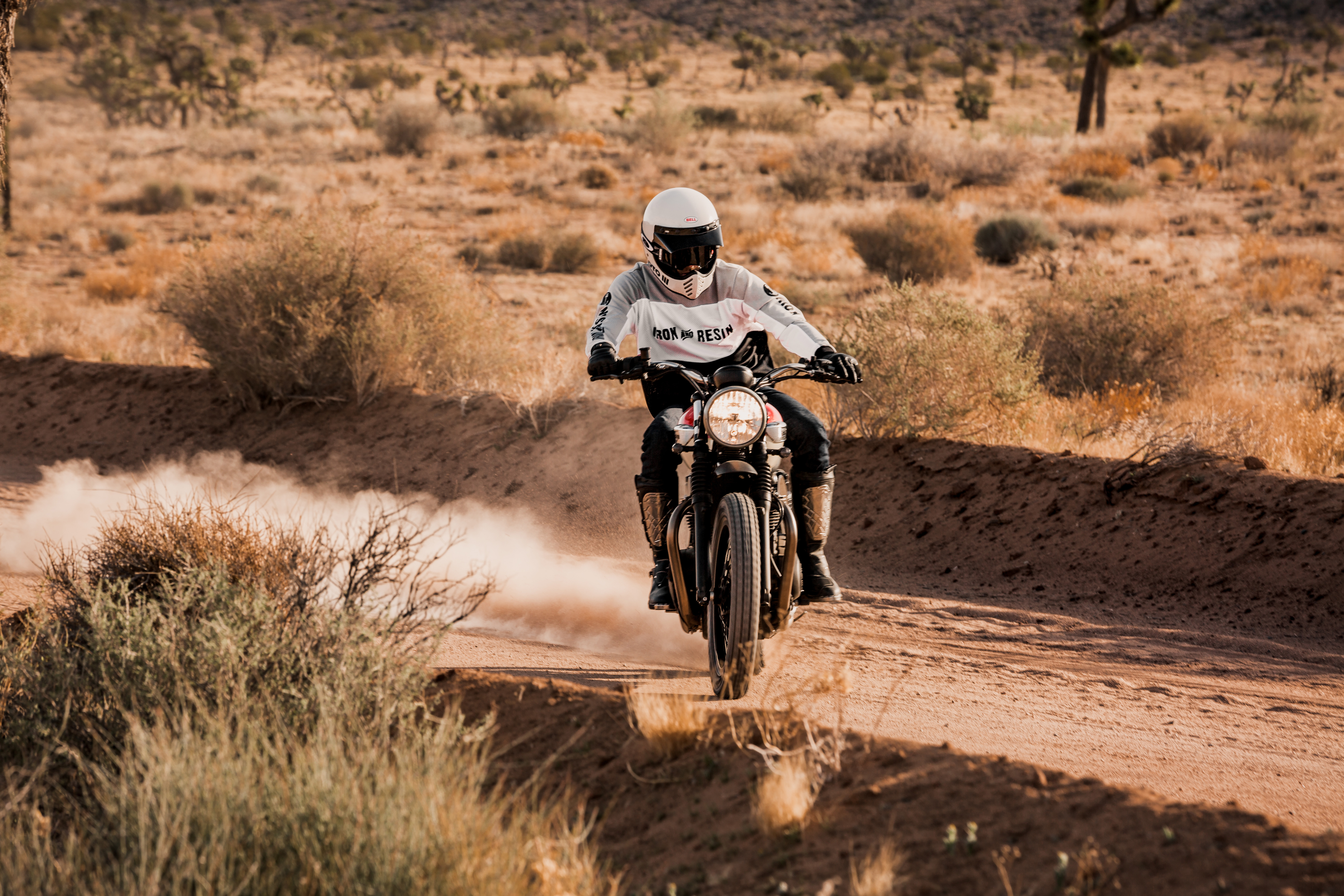 Triumph Street Twin scrambler