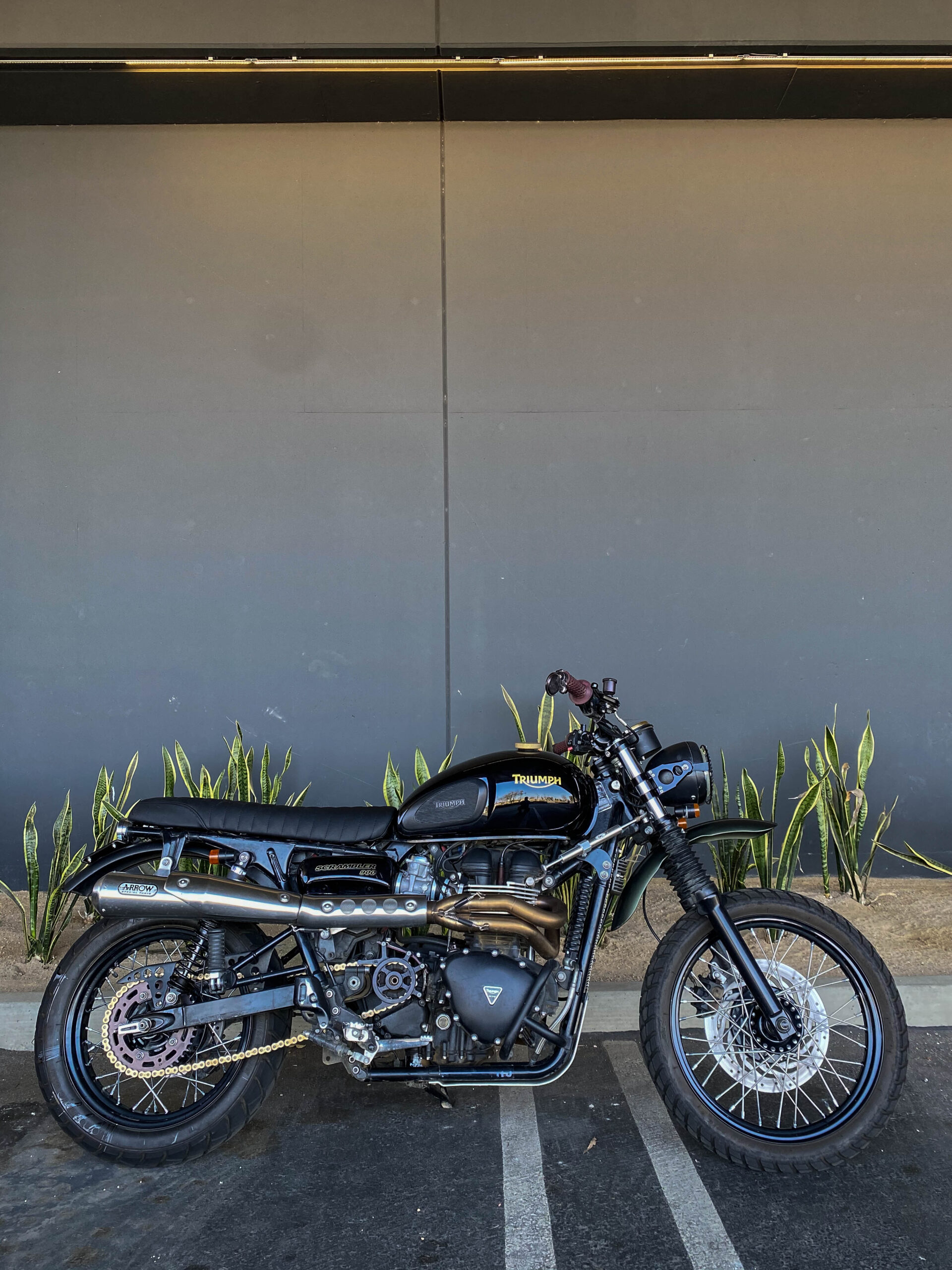 Bullitt OG2 Triumph Scrambler 900