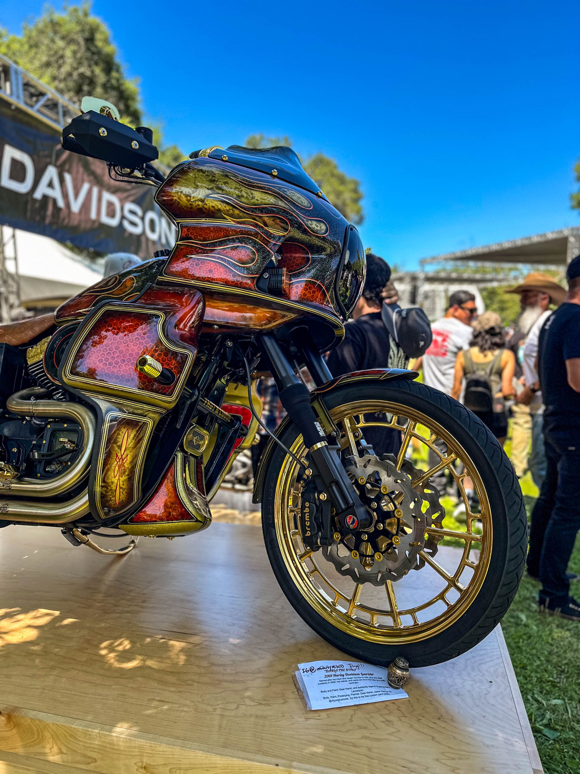 "Darla the Dyna" 2001 Harley Davidson Lowrider by Mike Aldridge at Born Free 2024