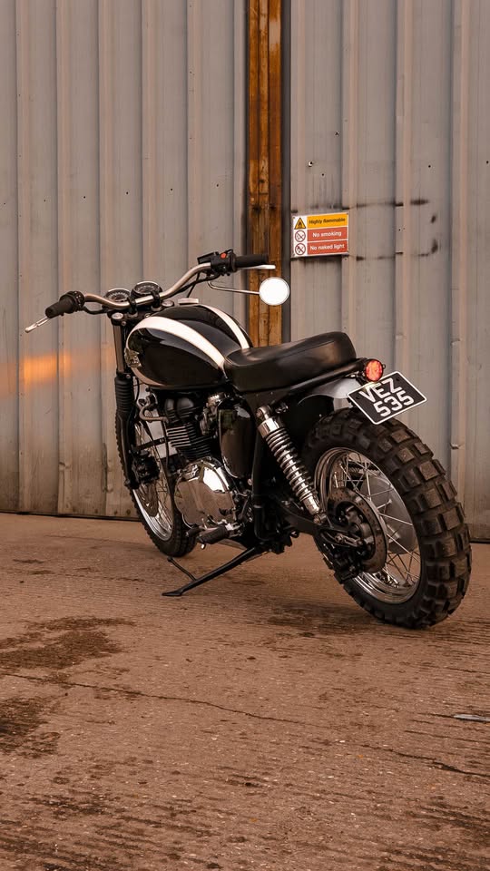 Triumph T100 Desert Sled rear profile