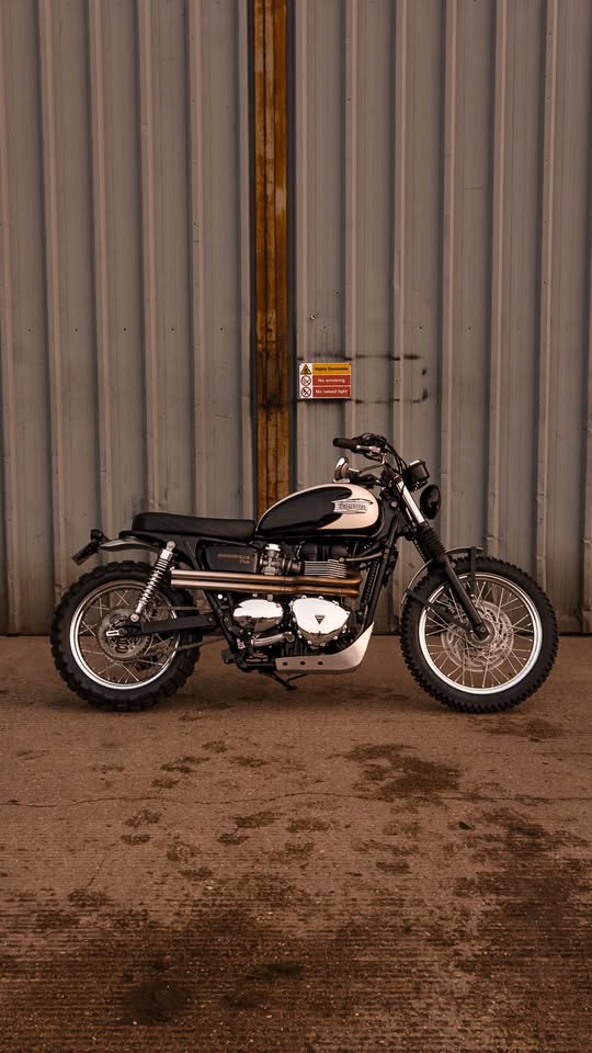 Triumph T100 Desert Sled side profile