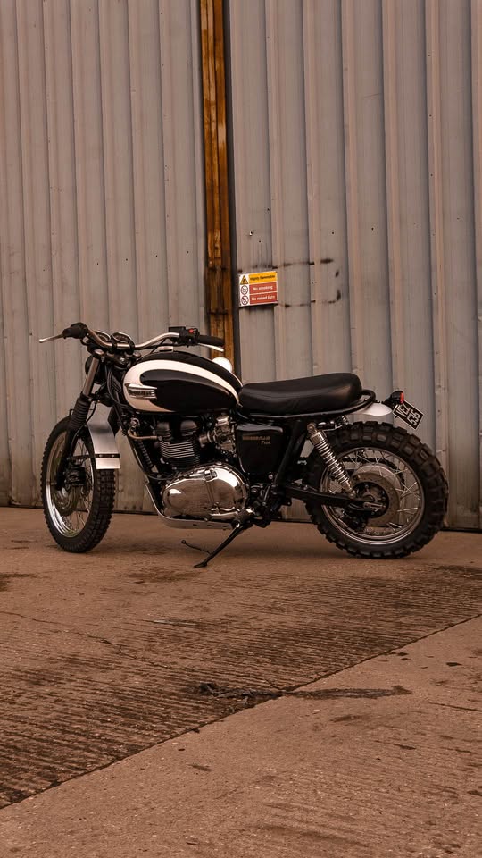 Triumph T100 Desert Sled side profile